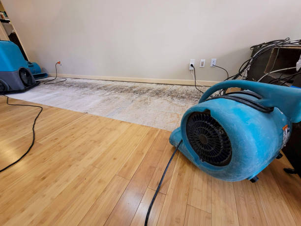 Reliable Basement Flood Cleanup contractor in Hendersonville, NC by Hirex Water Damage