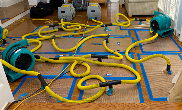 Professional Basement Flood Cleanup technician working in Hendersonville, NC